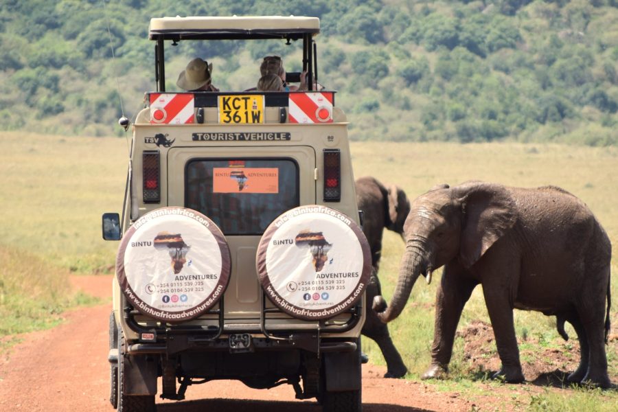 10  Days Elephant Trail Safari