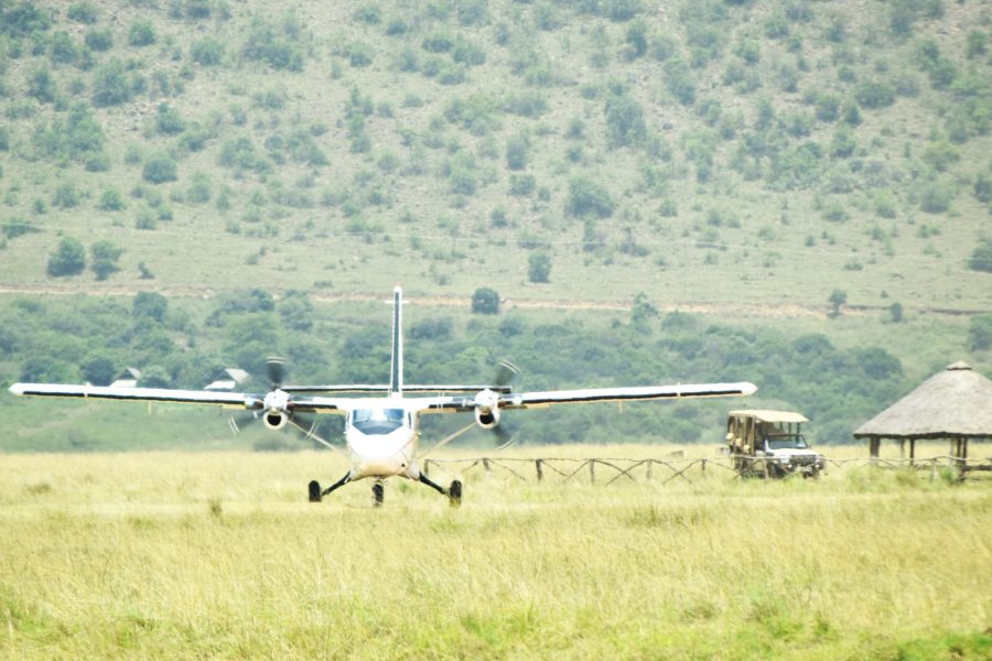 2 Days Wings Over Mara Safari