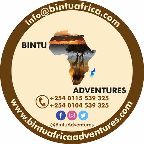 The best tour companies in kenya