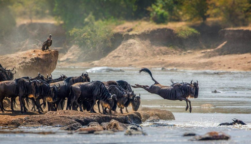 3 Days Serengeti National Park Safari