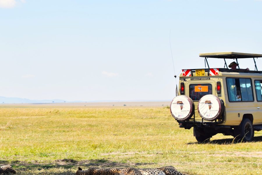 8 Days Wonders of Kenya and Tanzania Safari