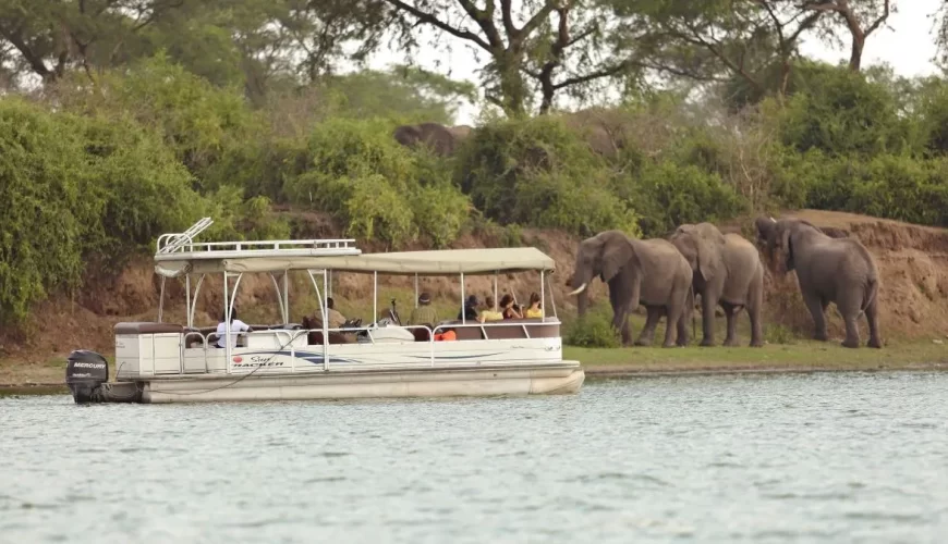 3 Days Queen Elizabeth National Park Safari