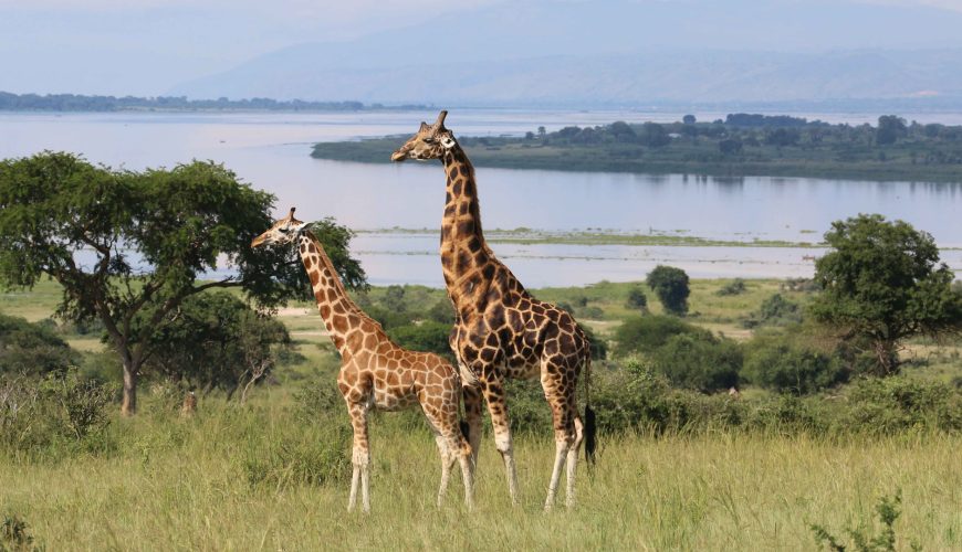 3 Days Murchison Falls National Park